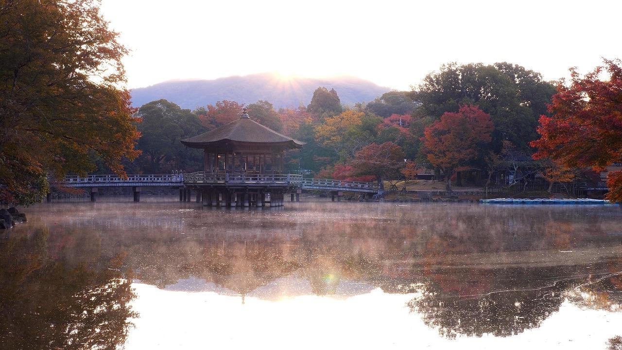 奈良 奈良公園 浮見堂