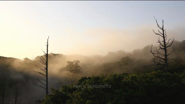 青森　外ヶ浜　龍飛崎