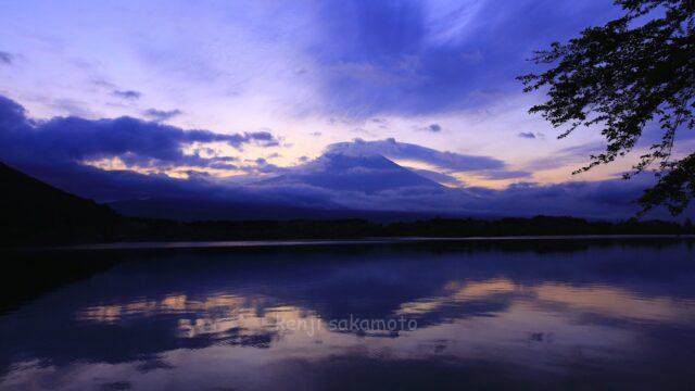 富士山と田貫湖