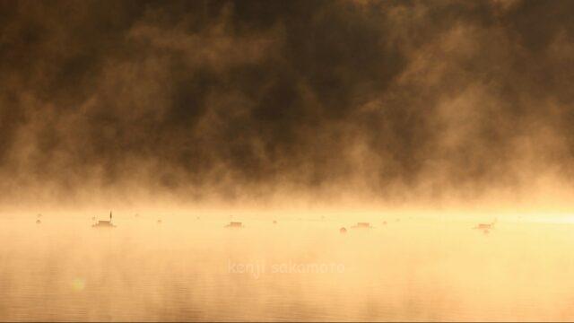 富士山と精進湖
