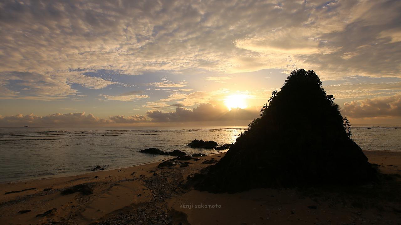 鹿児島 奄美大島