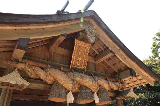 鳥取 白兎神社